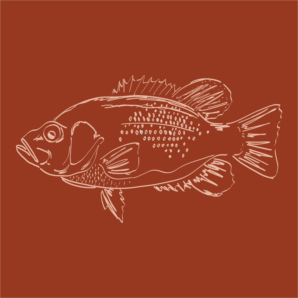 Graphic drawing of a Rock Bass (fish)